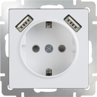 WL01-SKGS-USBx2-IP20 Розетка с заземлением, шторками и USB х2 (Белый) a033473
