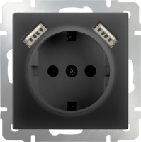 WL08-SKGS-USBx2-IP20 / Розетка с заземлением, шторками и USB х2 (Черный) a033477