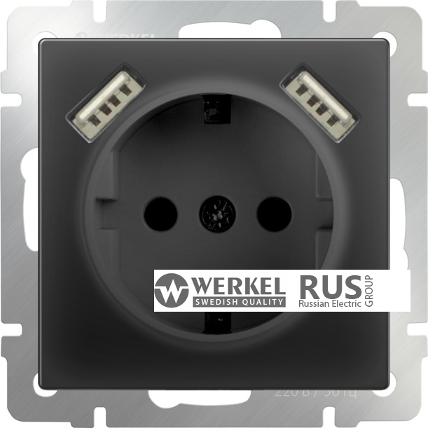 WL08-SKGS-USBx2-IP20 / Розетка с заземлением, шторками и USB х2 (Черный) a033477